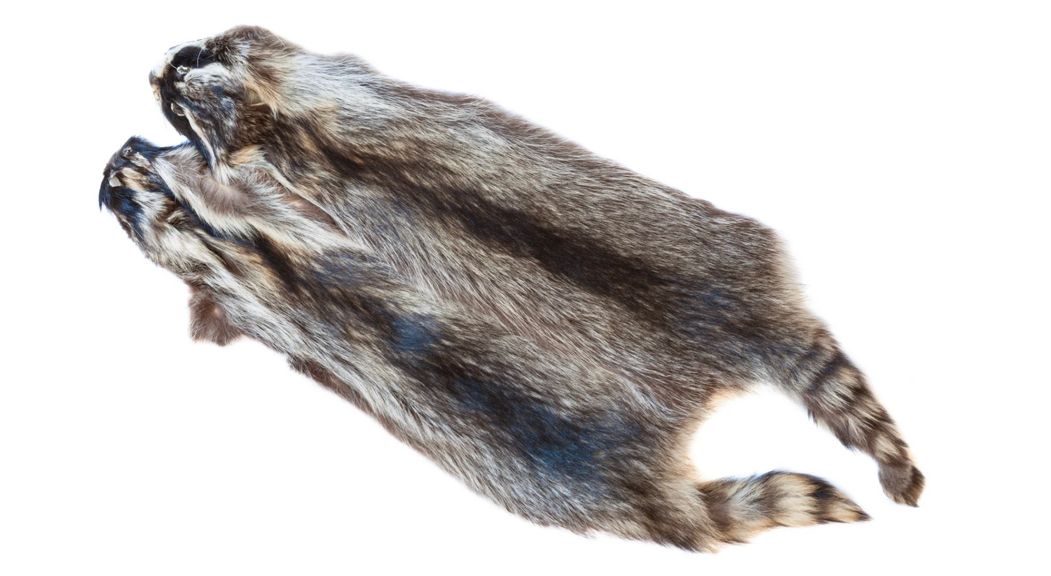 Genuine raccoon fur pelt  fluffy natural - Turkish Leather Fur