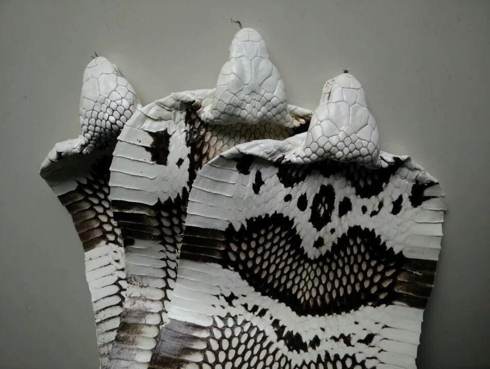 Exotic leather crocodile python stingray ostrich skins - Turkish Leather Fur