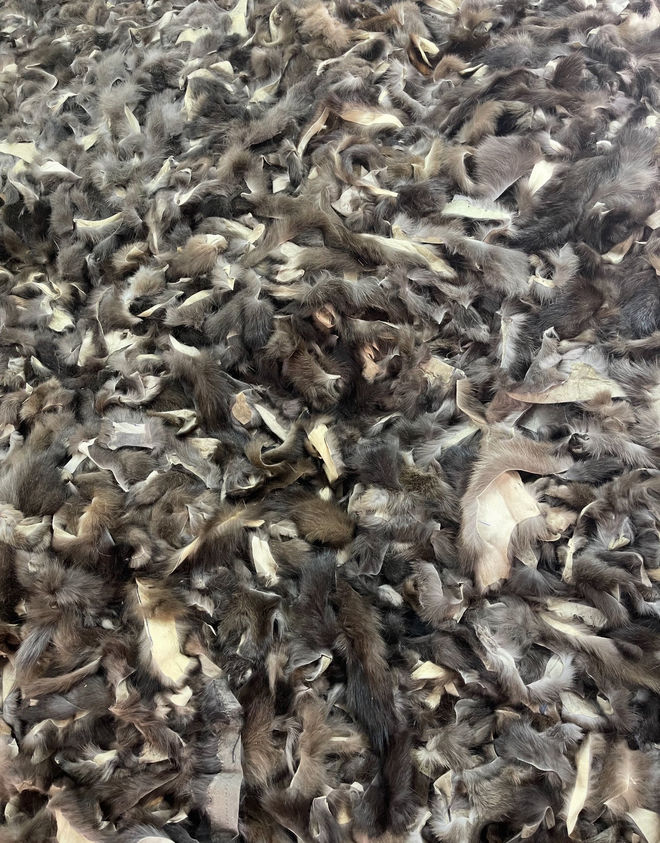 Fur Scrap