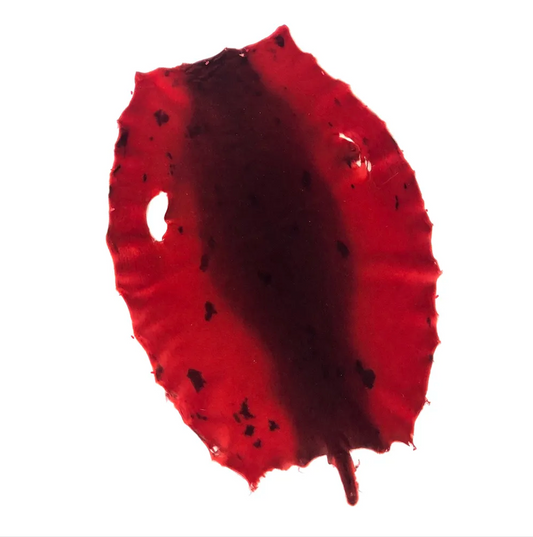 Real Sealskin For Craft Leather Premium Exotic Leather