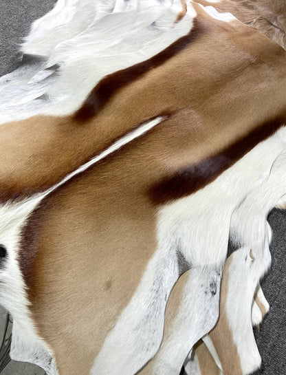 Genuine Springbok Antelope Leather Rug
