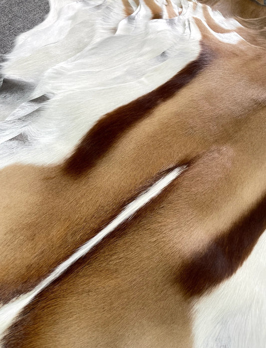 Genuine Springbok Antelope Leather Rug