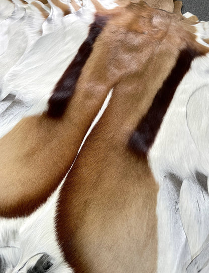 Genuine Springbok Antelope Leather Rug