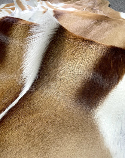 Genuine Springbok Antelope Leather Rug