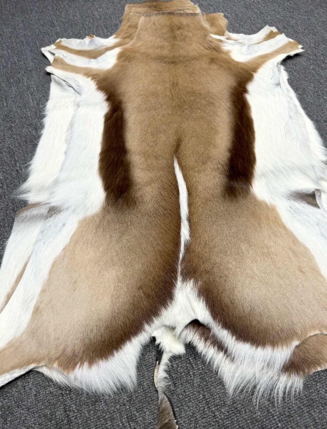 Genuine Springbok Antelope Leather Rug