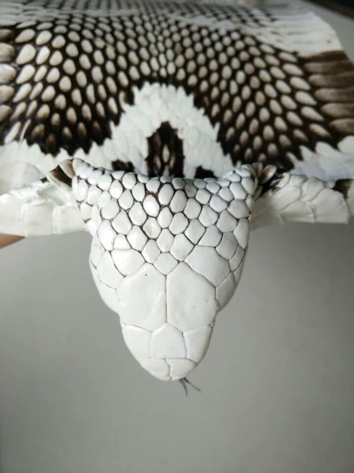 Luxury Genuine Snakeskin | Natural Patterned Exotic Designer Leather