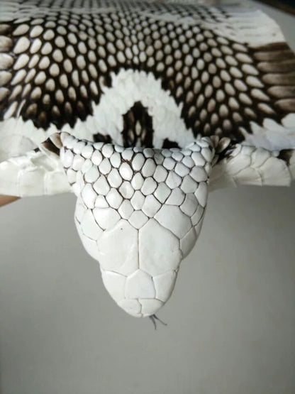 Luxury Genuine Snakeskin | Natural Patterned Exotic Designer Leather