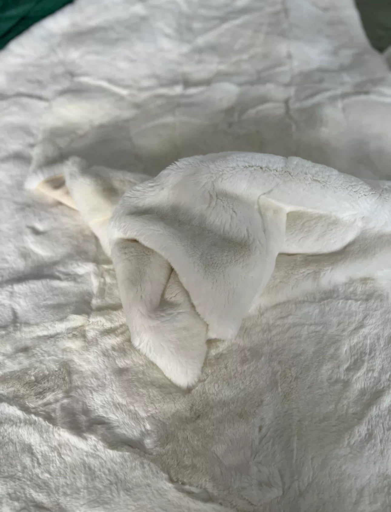 White Real Rex Rabbit Fur Plate