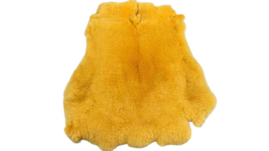 Real Yellow  Rex Rabbit Fur Pelt – Genuine Yellow  Rex Fur Pelt
